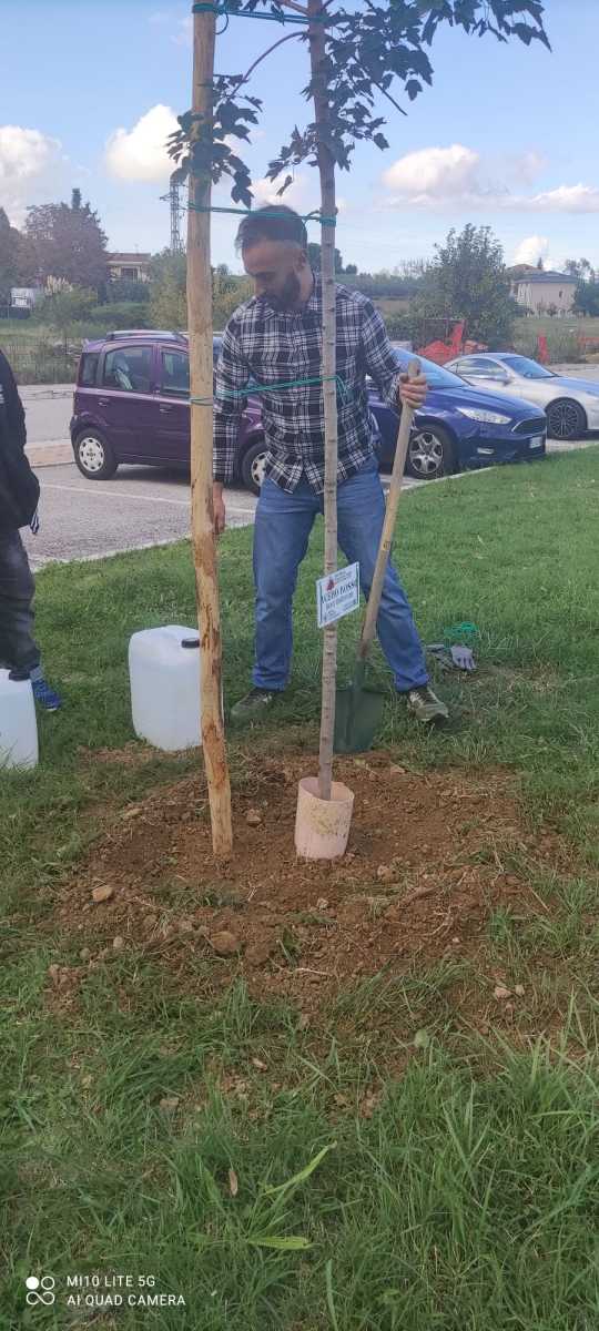 Proteggiamo la base del fusto