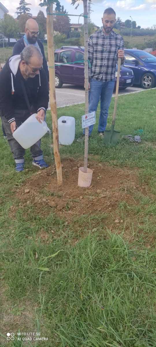 Si innaffia