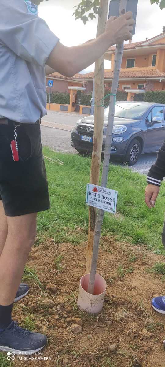 Quasi fatto