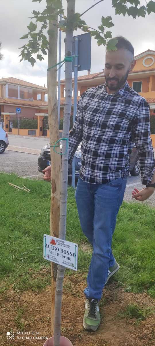 Anche il palo è al suo posto
